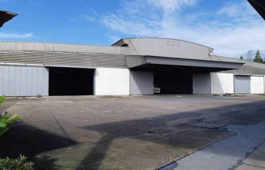 �����ҹ� �� 1000property