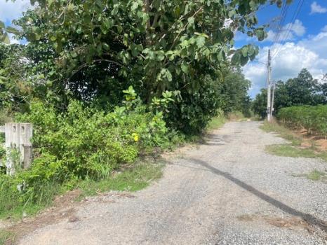 ���Թ���ͧ �� Estate Corner