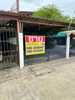 �ǹ��ǧ �� zionasset1