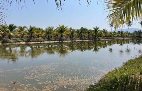 ���ᵧ �� northern1