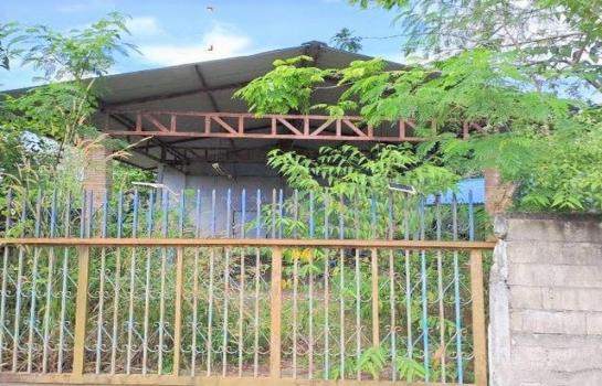 ������ͧ �� panaya.opalopal