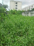 ��� ���Թ �ҧࢹ ��ا෾