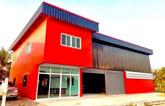 ���Թ������� �ҧ��Ƿͧ