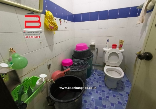 ��ǹ��������ѧ�Ե �ѭ����