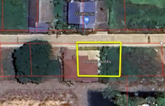 ˹ͧ���� �� natanong78