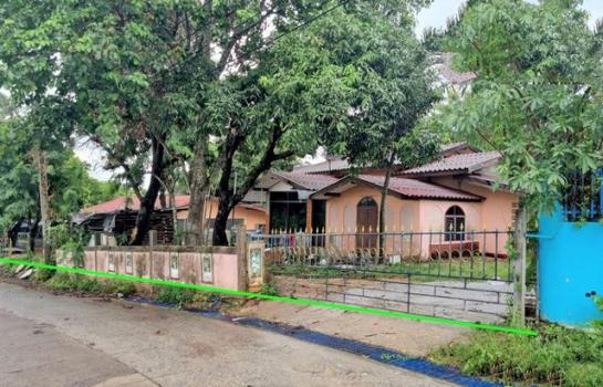 ������ͧ �� panaya.opalopal