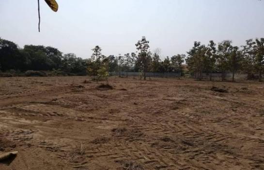 �ҧ�� �� onanong khumaphao