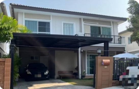 �ѹ��ᾧ �� northern1