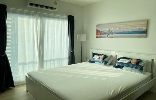 �ҧ�� �� �͡���