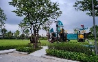 �����Һ�ҹ �ѹ�����