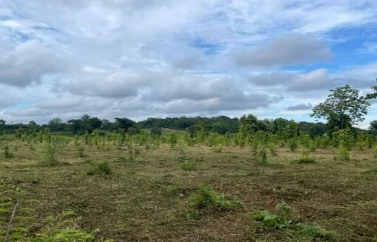 ����ҧ �� onanong khumaphao