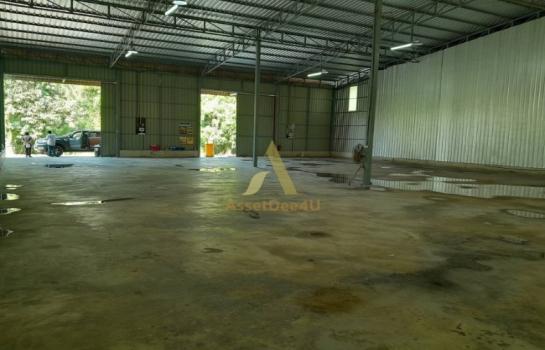 �ҧ���� �� AssetD4U