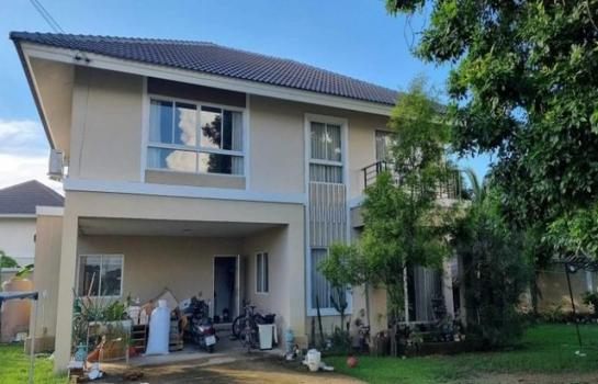 �ѹ��ᾧ �� northern1