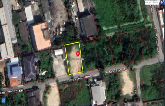 ����Ѳ�� �� Bangkok Home Condo