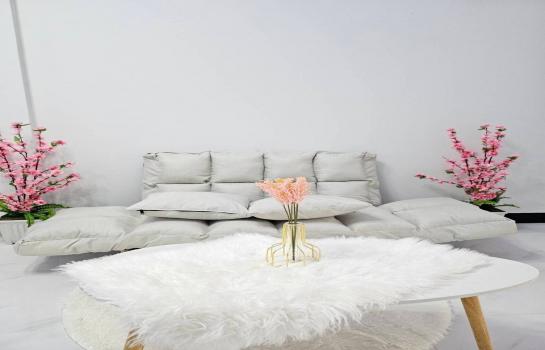 ��ǹ����������������ú ���١��