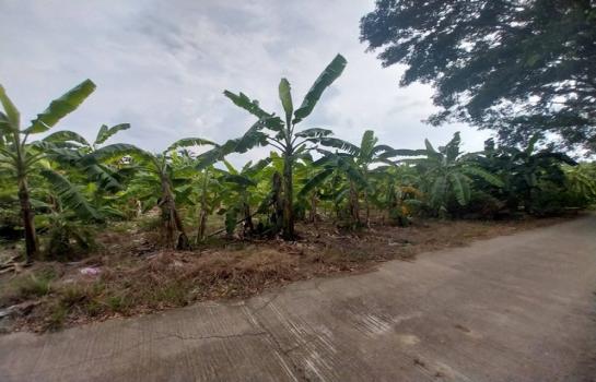 �ҡ �� zionasset1