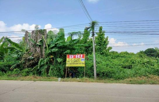 ������ �� zionasset1