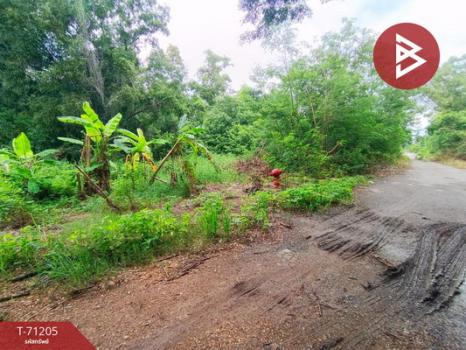 ��ا෾ �� The Best Property Agent