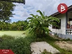 ���Թ ��� 5,500,000 �ҷ �ҧ��Ƿͧ
