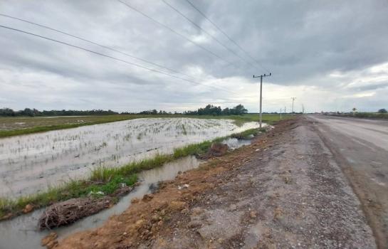 ����ʧ �� zionasset1