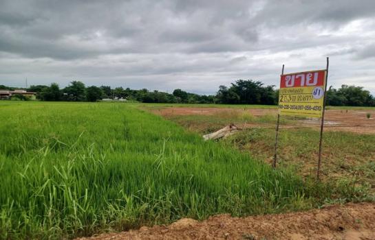 ������ �� zionasset1