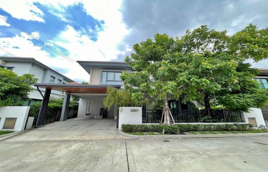 ������� �� kantapon4