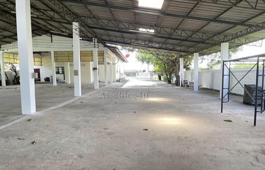 ���١�� �� AssetD4U