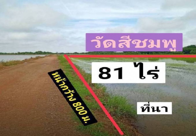 �ҧ�� �� ����ѷ �����൷ ��ਹ���(�������) �ӡѴ