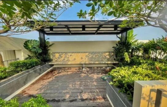 �ҧ�л� �� ��ͼ��