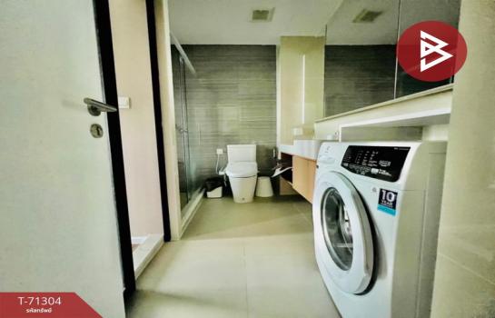 �͹�����ͧ�ٴ��ѹ �ź���