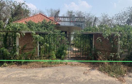 �����к��� �� panaya.opalopal