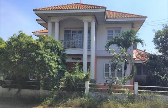 ��ѭ����� �� panaya.opalopal