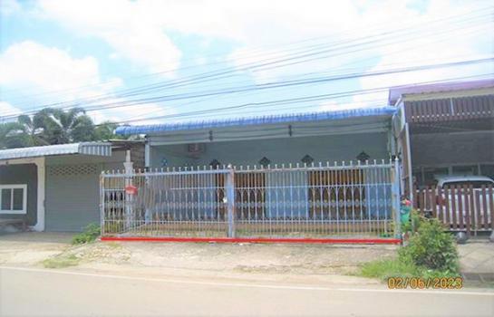 ������ �� panaya.opalopal