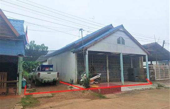 ������ �� panaya.opalopal