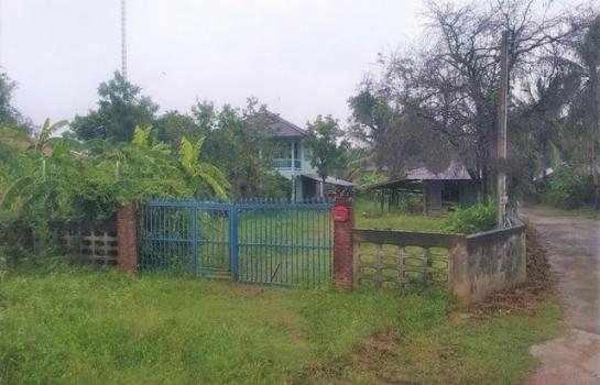 ��������� �� panaya.opalopal