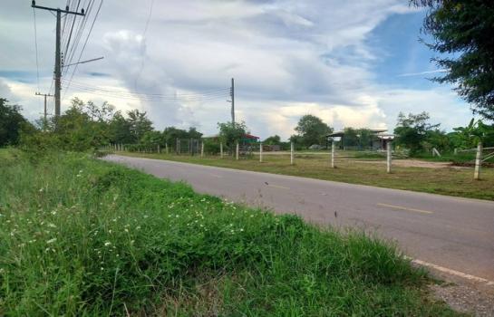 ����ӻҧ �� zionasset1