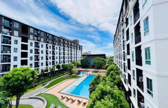 �͹� ���ͧ