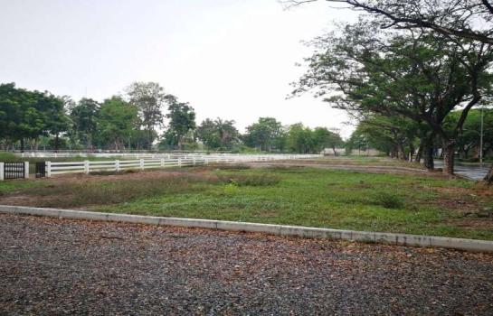 ��ا෾ �� kantapon4