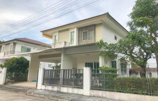 ��ҹ 55 ���ҧ��