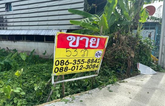 ��ا෾ �� zionasset1