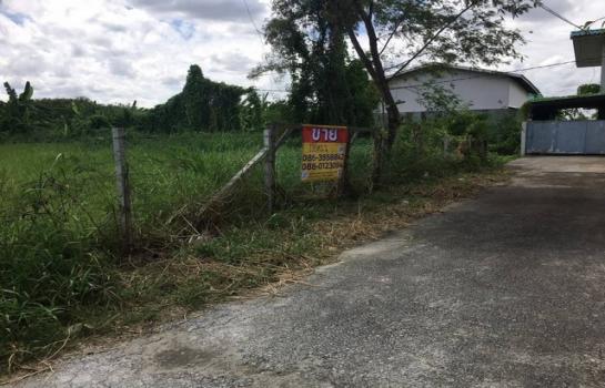 �ǹ��ǧ �� zionasset1