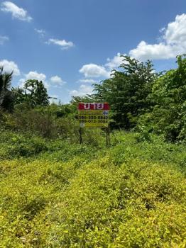 ������ �� zionasset1