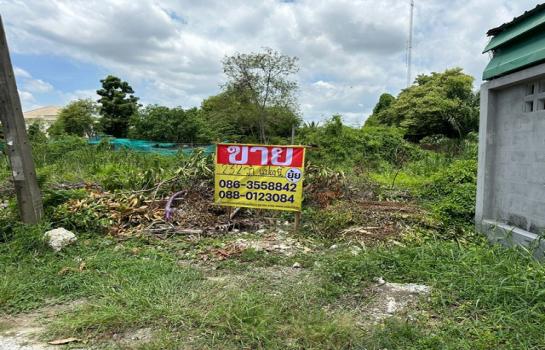 �ҧ���� �� zionasset1