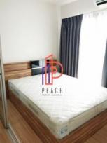 �͹� �ҧ��Ƿͧ