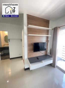 �͹����ͧ ���ͧ