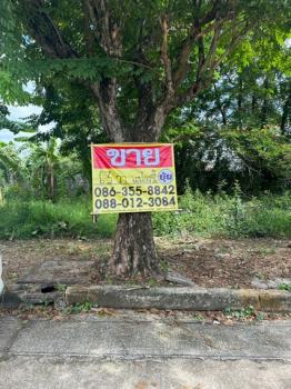 ���觪ѹ �� zionasset1