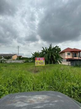 �ҧࢹ �� zionasset1