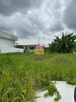 ���Թ �ҧࢹ