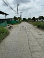 ��� ���Թ �ҧࢹ ��ا෾