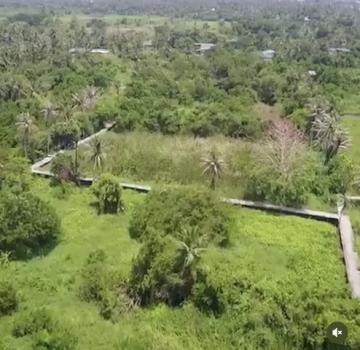 ������� �� kantapon4